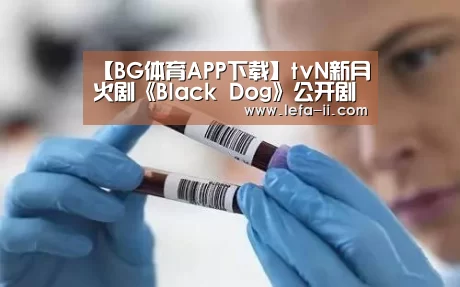 【BG体育APP下载】tvN新月火剧《Black Dog》公开剧本阅读照 徐玄振-罗美兰姐妹花出击(图3) BG体育官网
